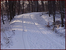 Pohodlná zimní cesta v lese