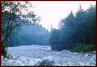 Potok v Bielovodské dolině